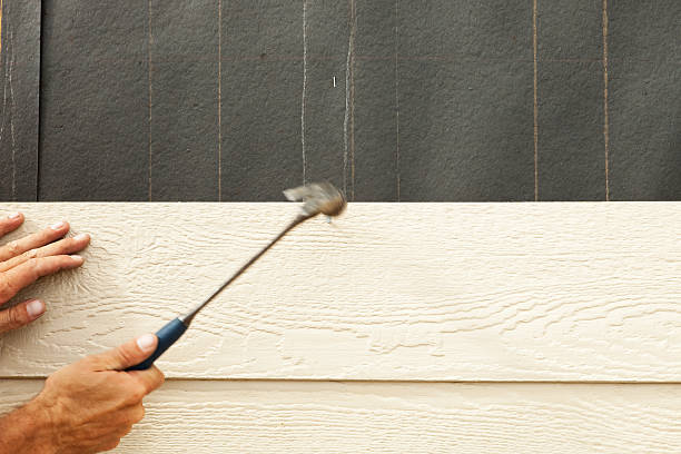 Best Stucco Siding  in Colquitt, GA
